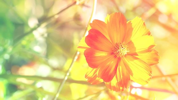 复仇军监牢钥匙换多少声望