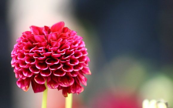 命运英雄传无限宝石破解版无限金币钻石版