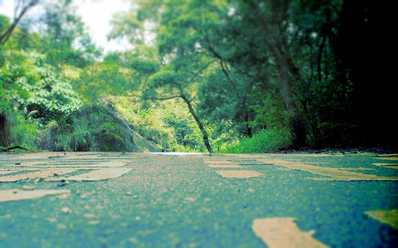 英雄联盟 十周年庆典