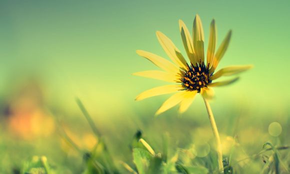 为何吕布是三国第一猛将