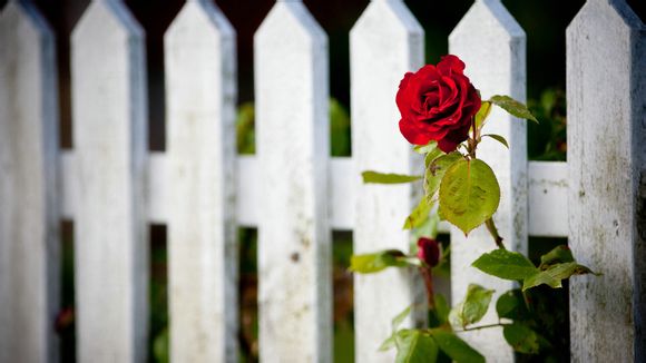 ds160表格有效期