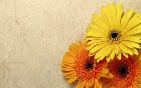 蜀门还有端游吗