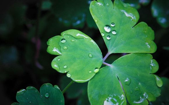 神庙逃亡加速距离是多少