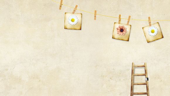 新东方企业邮箱登录