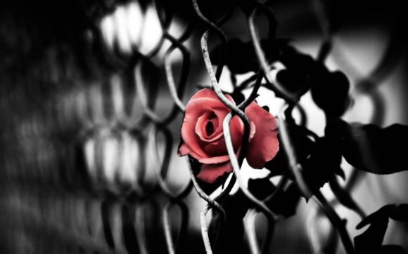 哈克娅和洛卡纳哈