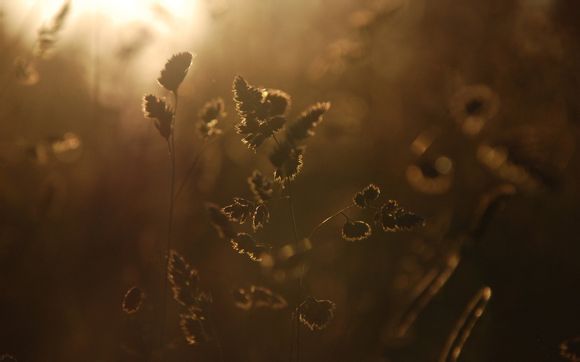 魔域手游2怎么搬砖变现