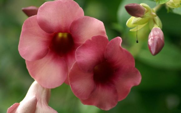 gta5主线任务流程攻略