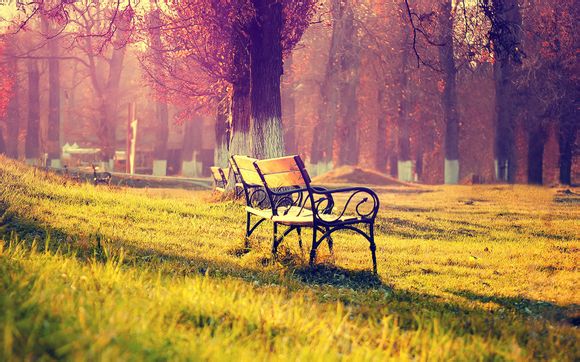 归元散打技能摆放