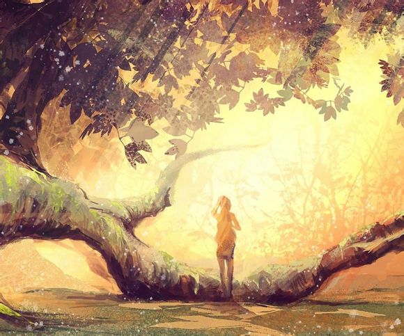 极品飞车的意思