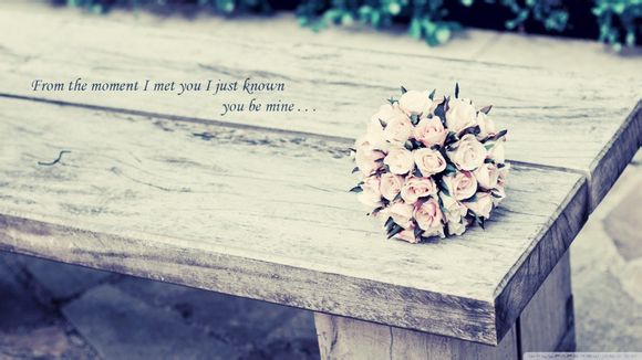 惊天魔盗团3女主角回来了吗