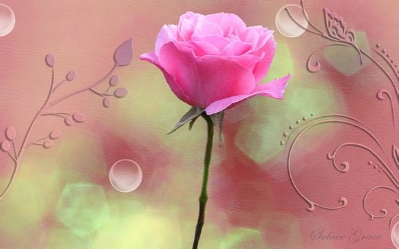 人类经历过冰河世纪吗为什么