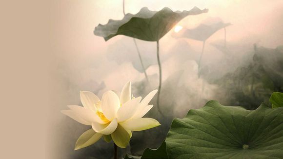 求生之路2单机版秘籍怎么用