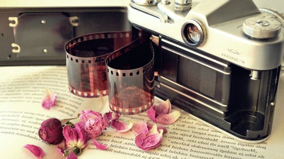 数字的手指游戏