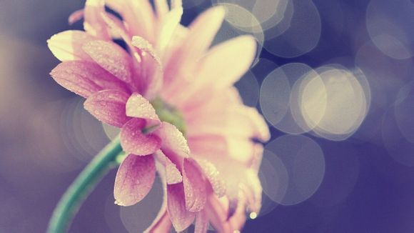 博德之门2全攻略