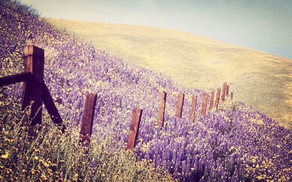 美国队长的游戏叫什么