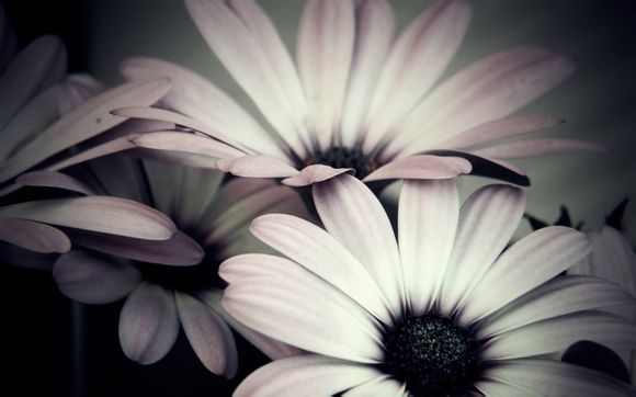 丧钟和蝙蝠侠有什么仇