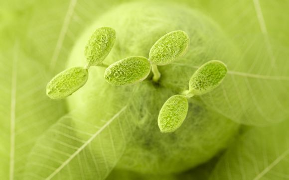 ps4刚出的时候多少钱啊