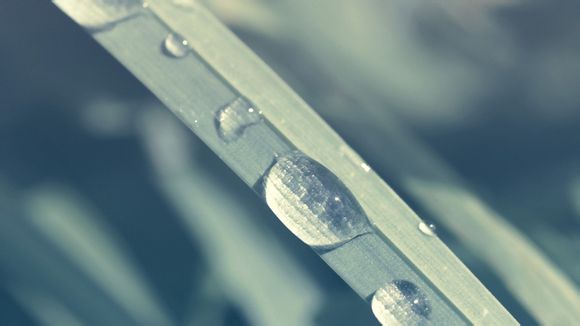 召唤之夜5任务12关怎么过