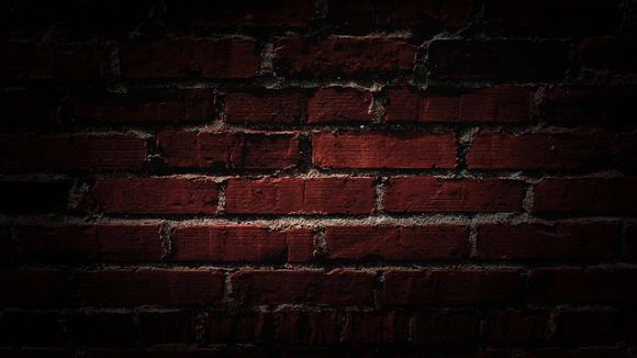 洛克王国上古战龙带什么技能