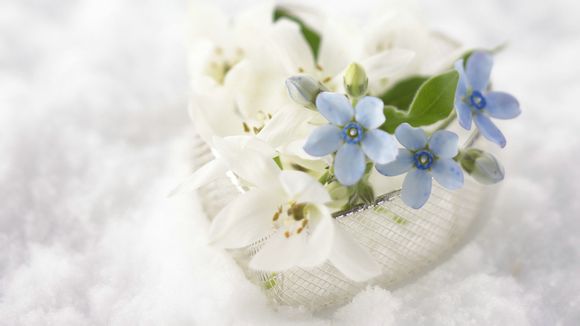 美国队长单机游戏手机版