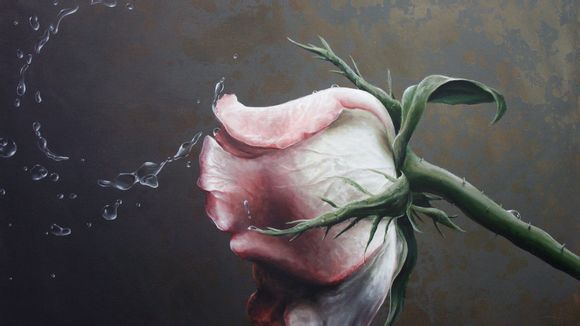 弹弹堂圣火之炬怎么弄