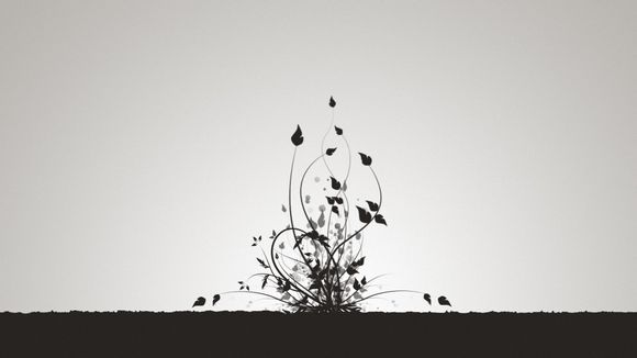 冥灯龙什么时候可以打死