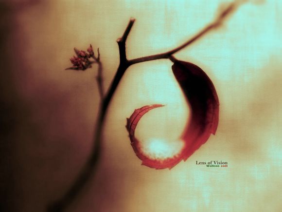 最好玩的游戏手机版