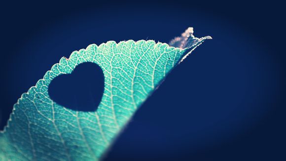 lol助手不显示推荐符文