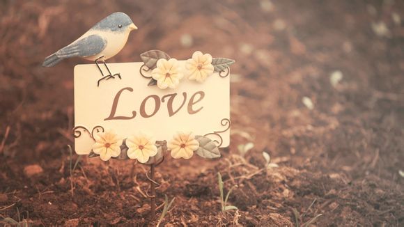 反恐精英零点行动指令