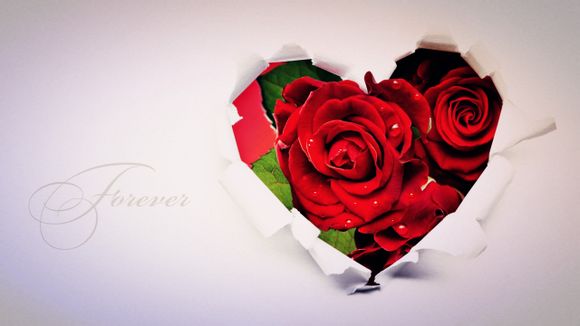 保卫萝卜3攻略游乐场56