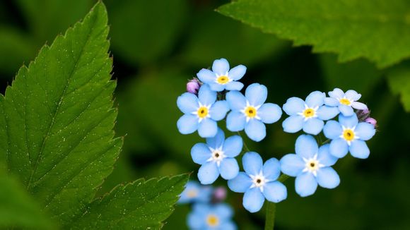 上海机场大巴时刻表2019最新公告