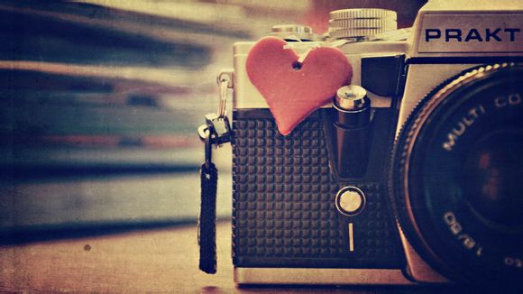 浦江郊野公园“探蜜营地”