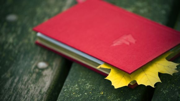 在家自制蛋糕简易做法电饭锅